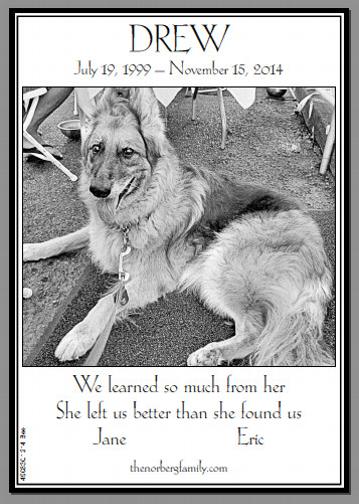 Drew, memorial, LH, GSD