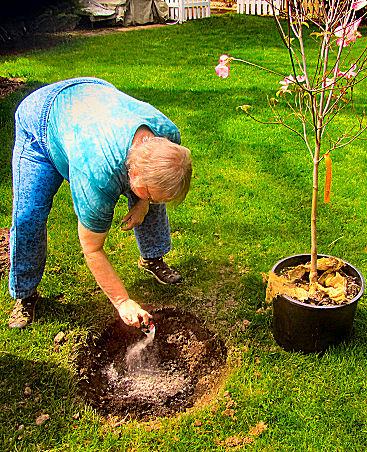 Spreading the ashes