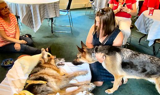 Drew, Zephyr, Maggie